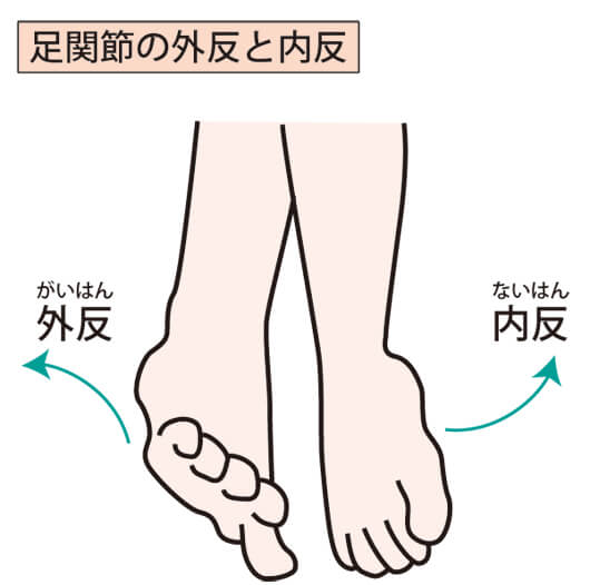足首の捻挫を1から10まで徹底解説 Lifelong 神戸三宮 運動療法で身体の痛みを改善するスポーツジム